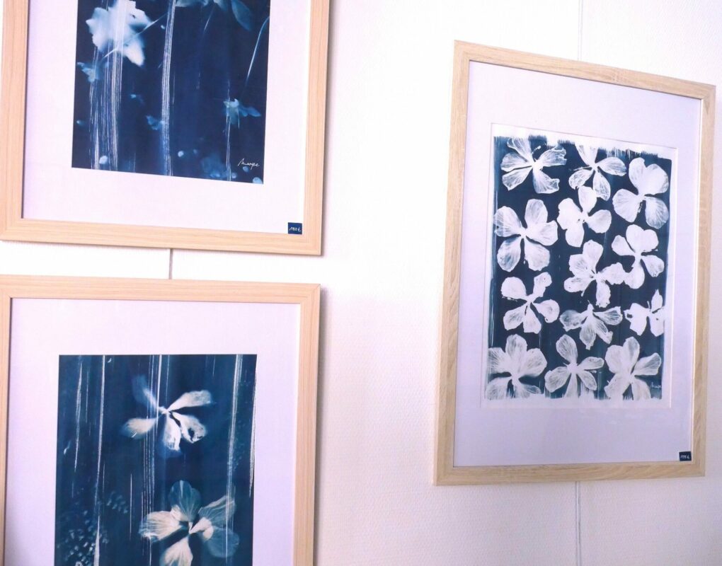 MartineDAUDE_Cyanotypes1