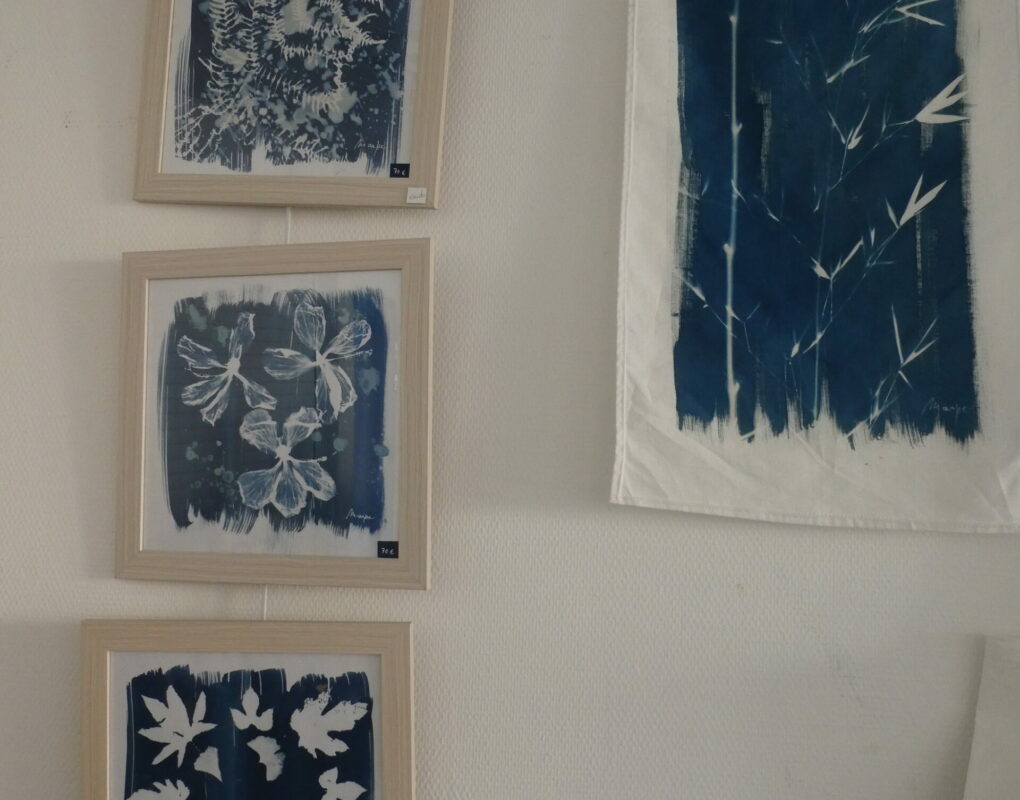 MartineDAUDE_Cyanotypes2