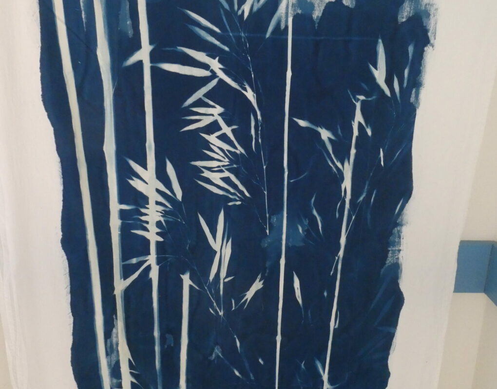 MartineDAUDE_Cyanotypes3